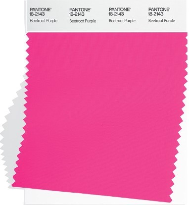 Beetroot Purple