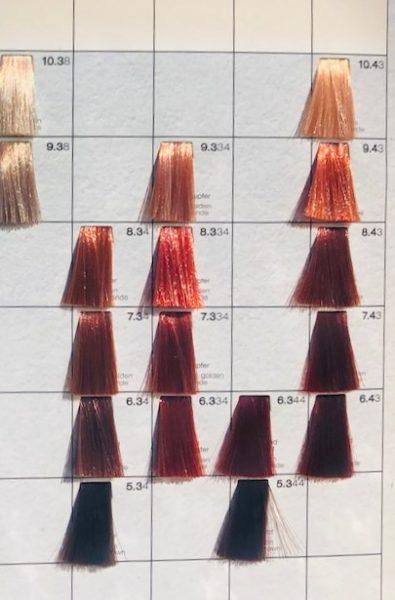 Χάλκινα μαλλιά χρωματολόγιο