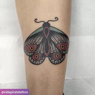 Πεταλούδα με χρώμα στο πόδι